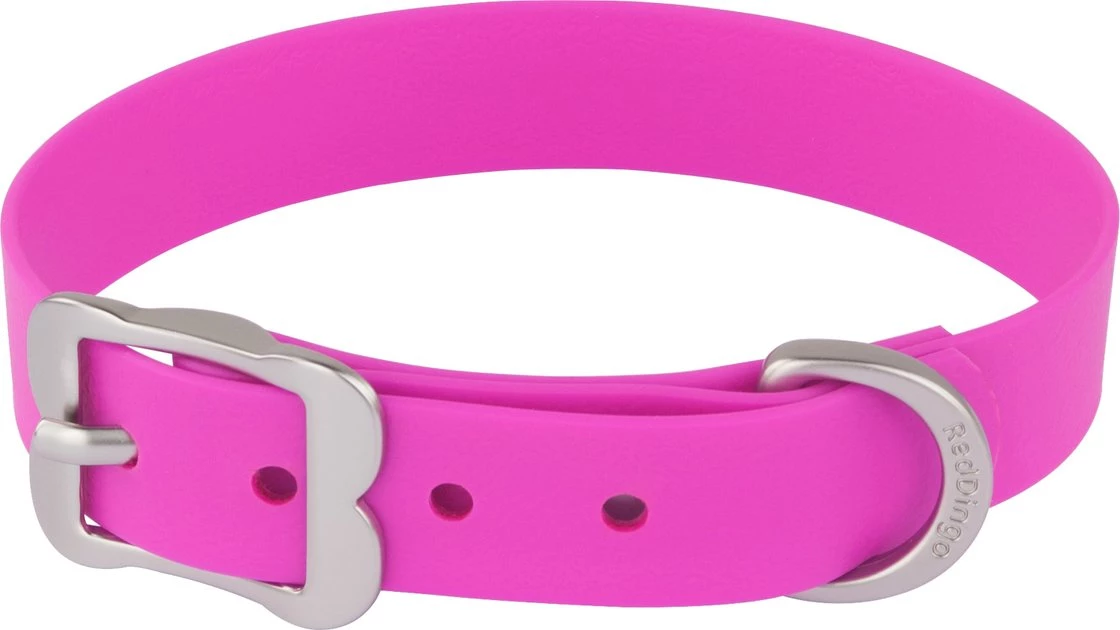 Red Dingo Vivid PVC Dog Collar 3 Red Dingo Vivid PVC Dog Collar