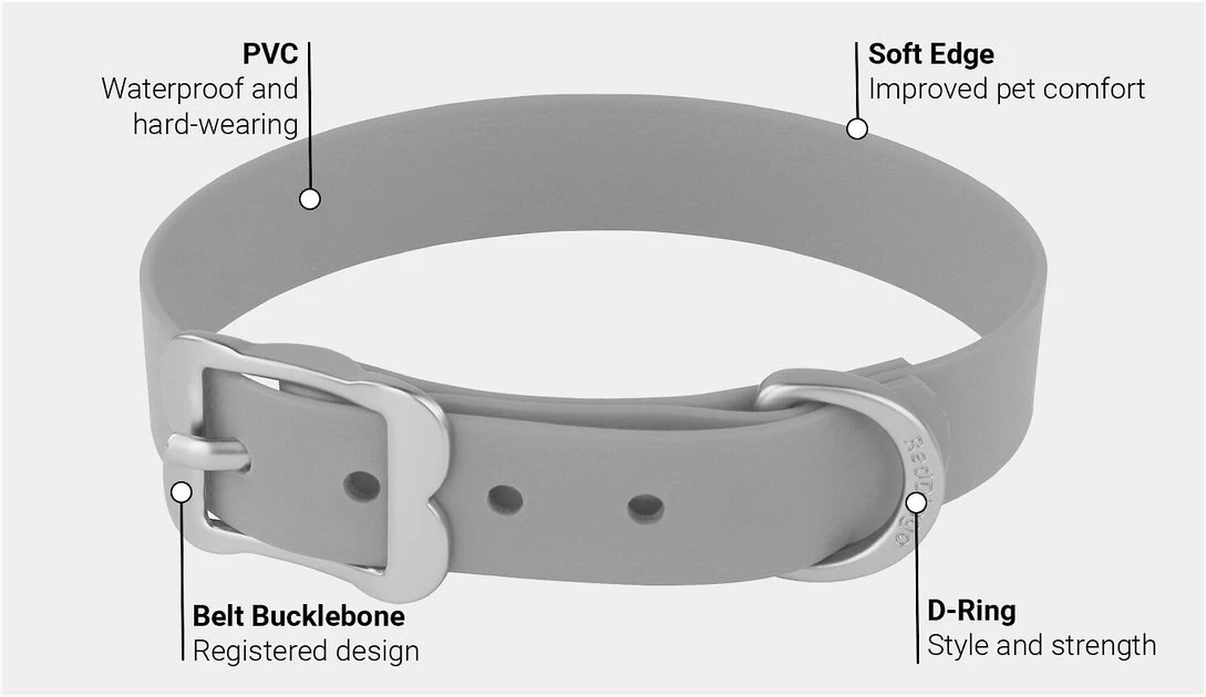 Red Dingo Vivid PVC Dog Collar 4 Red Dingo Vivid PVC Dog Collar - Image 2