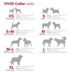 Red Dingo Vivid PVC Dog Collar 10 Red Dingo Vivid PVC Dog Collar -Red Dingo Sales Store 107394 PT5. SY630 V1627689722