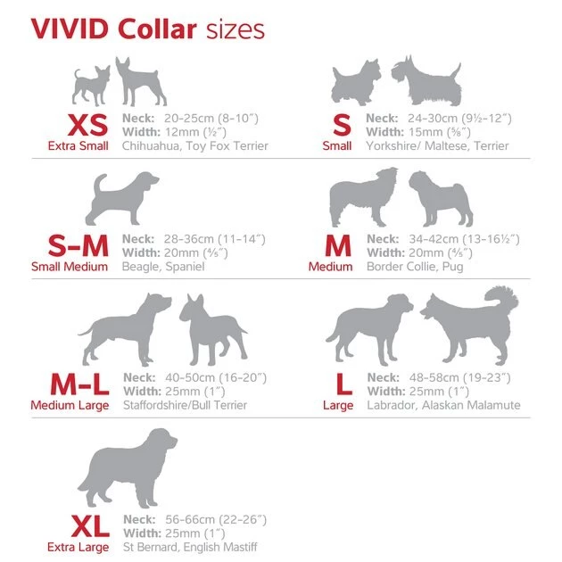 Red Dingo Vivid PVC Dog Collar 6 Red Dingo Vivid PVC Dog Collar - Image 4