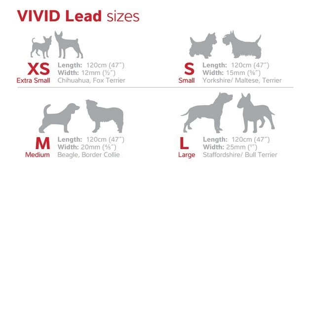 Red Dingo Vivid PVC Dog Leash 5 Red Dingo Vivid PVC Dog Leash - Image 3