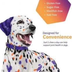 Virbac MOVOFLEX Soft Chews Joint Supplement for Large Dogs -Red Dingo Sales Store 128561 PT6. SY630 V1651936885