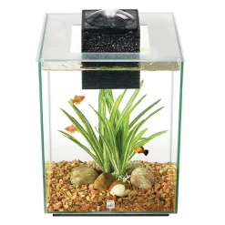 Fluval Chi Aquarium Kit