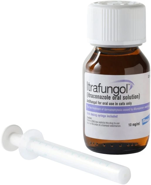 Itrafungol Oral Solution for Cats 7 Itrafungol Oral Solution for Cats - Image 5