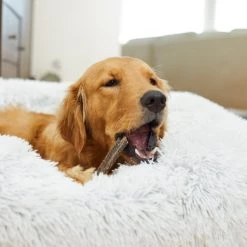 Virbac C.E.T. VeggieDent Fr3sh Dental Chews for Large Dogs, over 66 lbs -Red Dingo Sales Store 158486 PT4. SY630 V1598476018