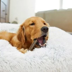 Virbac C.E.T. VeggieDent Fr3sh Dental Chews for Large Dogs, over 66 lbs -Red Dingo Sales Store 158486 PT8. SY630 V1617316893