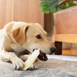 Virbac C.E.T. Enzymatic Dental Chews for Large Dogs, over 50 lbs 15 Virbac C.E.T. Enzymatic Dental Chews for Large Dogs, over 50 lbs -Red Dingo Sales Store 203404 PT4. SY630 V1598475399