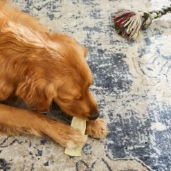 Virbac C.E.T. Enzymatic Dental Chews for Medium Dogs, 26-50 lbs 15 Virbac C.E.T. Enzymatic Dental Chews for Medium Dogs, 26-50 lbs -Red Dingo Sales Store 203405 PT4. SY630 V1598476285