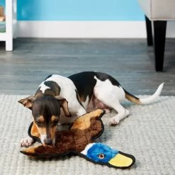 Frisco||Virbac Frisco Flat Plush Squeaking Duck Dog Toy & Virbac C.E.T. Enzymatic Dog & Cat Vanilla-Mint Flavor Toothpaste 10 Frisco||Virbac Frisco Flat Plush Squeaking Duck Dog Toy & Virbac C.E.T. Enzymatic Dog & Cat Vanilla-Mint Flavor Toothpaste -Red Dingo Sales Store 255473 PT2. SY630 V1616428593