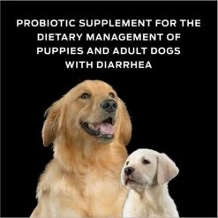 Purina Pro Plan Veterinary Diets||Virbac Purina Pro Plan Veterinary Diets FortiFlora Probiotic Gastrointestinal Support Supplement + Virbac C.E.T. Enzymatic Dog & Cat Poultry Flavor Toothpaste 15 Purina Pro Plan Veterinary Diets||Virbac Purina Pro Plan Veterinary Diets FortiFlora Probiotic Gastrointestinal Support Supplement + Virbac C.E.T. Enzymatic Dog & Cat Poultry Flavor Toothpaste -Red Dingo Sales Store 293710 PT4. SY630 V1639534293