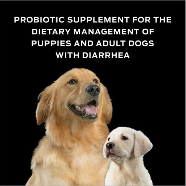 Purina Pro Plan Veterinary Diets||Virbac Purina Pro Plan Veterinary Diets FortiFlora Probiotic Gastrointestinal Support Supplement + Virbac C.E.T. Enzymatic Dog & Cat Poultry Flavor Toothpaste 7 Purina Pro Plan Veterinary Diets||Virbac Purina Pro Plan Veterinary Diets FortiFlora Probiotic Gastrointestinal Support Supplement + Virbac C.E.T. Enzymatic Dog & Cat Poultry Flavor Toothpaste - Image 5