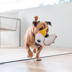 Red Dingo DURABLES Craig the Cockatoo Squeaky Soft Dog Toy -Red Dingo Sales Store 308911 PT3. SY630 V1632940749