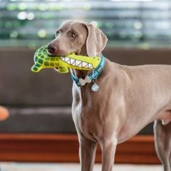 Red Dingo DURABLES Kyle the Crocodile Squeaky Soft Dog Toy -Red Dingo Sales Store 308913 PT3. SY630 V1632940814