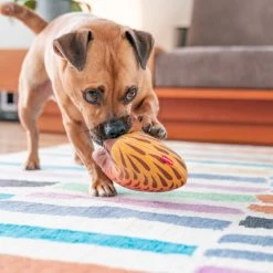 Red Dingo DURABLES Eddie the Echidna Squeaky Soft Dog Toy -Red Dingo Sales Store 308915 PT3. SY630 V1632940783