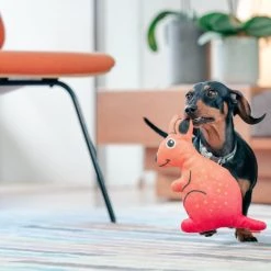 Red Dingo DURABLES Kath the Kangaroo Squeaky Soft Dog Toy 10 Red Dingo DURABLES Kath the Kangaroo Squeaky Soft Dog Toy -Red Dingo Sales Store 308917 PT2. SY630 V1632940591