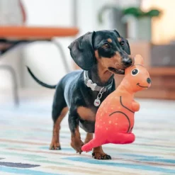 Red Dingo DURABLES Kath the Kangaroo Squeaky Soft Dog Toy 11 Red Dingo DURABLES Kath the Kangaroo Squeaky Soft Dog Toy -Red Dingo Sales Store 308917 PT3. SY630 V1632940732