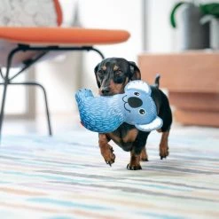 Red Dingo DURABLES Kim the Koala Squeaky Soft Dog Toy -Red Dingo Sales Store 308919 PT2. SY630 V1632940430