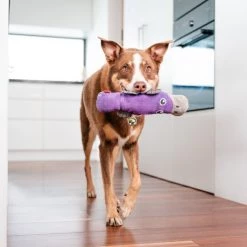 Red Dingo DURABLES Pam the Platypus Squeaky Soft Dog Toy -Red Dingo Sales Store 308921 PT2. SY630 V1632940664