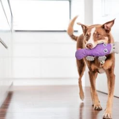 Red Dingo DURABLES Pam the Platypus Squeaky Soft Dog Toy -Red Dingo Sales Store 308921 PT3. SY630 V1632940799