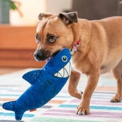 Red Dingo DURABLES Steve the Shark Squeaky Soft Dog Toy 11 Red Dingo DURABLES Steve the Shark Squeaky Soft Dog Toy -Red Dingo Sales Store 308923 PT3. SY630 V1632940834