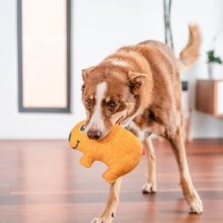 Red Dingo DURABLES Wendy the Wombat Squeaky Soft Dog Toy -Red Dingo Sales Store 308925 PT2. SY630 V1632940563