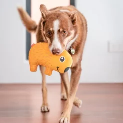 Red Dingo DURABLES Wendy the Wombat Squeaky Soft Dog Toy -Red Dingo Sales Store 308925 PT3. SY630 V1632940768