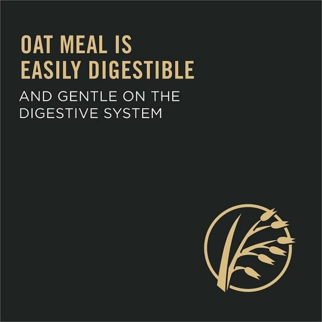 Virbac||Purina Pro Plan Virbac MOVOFLEX Soft Chews Joint Supplement for Dogs + Purina Pro Plan Adult Sensitive Skin & Stomach Salmon & Rice Formula Dry Food 10 Virbac||Purina Pro Plan Virbac MOVOFLEX Soft Chews Joint Supplement for Dogs + Purina Pro Plan Adult Sensitive Skin & Stomach Salmon & Rice Formula Dry Food - Image 9