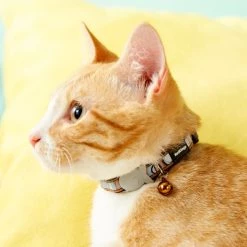 Red Dingo Circadelic Nylon Breakaway Cat Collar with Bell -Red Dingo Sales Store 57567 PT7. SY630 V1515695905