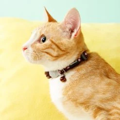 Red Dingo Spots Nylon Breakaway Cat Collar with Bell -Red Dingo Sales Store 57572 PT7. SY630 V1515695925
