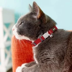 Red Dingo Classic Nylon Breakaway Cat Collar with Bell -Red Dingo Sales Store 57584 PT4. SY630 V1508862126