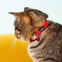 Red Dingo Classic Nylon Breakaway Cat Collar with Bell -Red Dingo Sales Store 57584 PT5. SY630 V1515696183