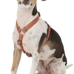 Red Dingo Designer Snake Eyes Nylon Back Clip Dog Harness -Red Dingo Sales Store 84739 PT2. SY630 V1575414482