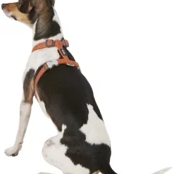 Red Dingo Designer Snake Eyes Nylon Back Clip Dog Harness -Red Dingo Sales Store 84739 PT3. SY630 V1575419069