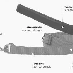 Red Dingo Classic Nylon Dog Leash -Red Dingo Sales Store 84747 PT3. SY630 V1529960828