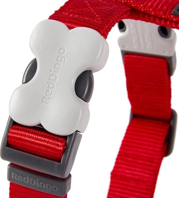 Red Dingo Classic Nylon Back Clip Dog Harness 6 Red Dingo Classic Nylon Back Clip Dog Harness - Image 4