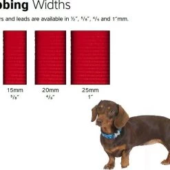 Red Dingo Classic Nylon Back Clip Dog Harness 13 Red Dingo Classic Nylon Back Clip Dog Harness -Red Dingo Sales Store 84749 PT3. SY630 V1506370505