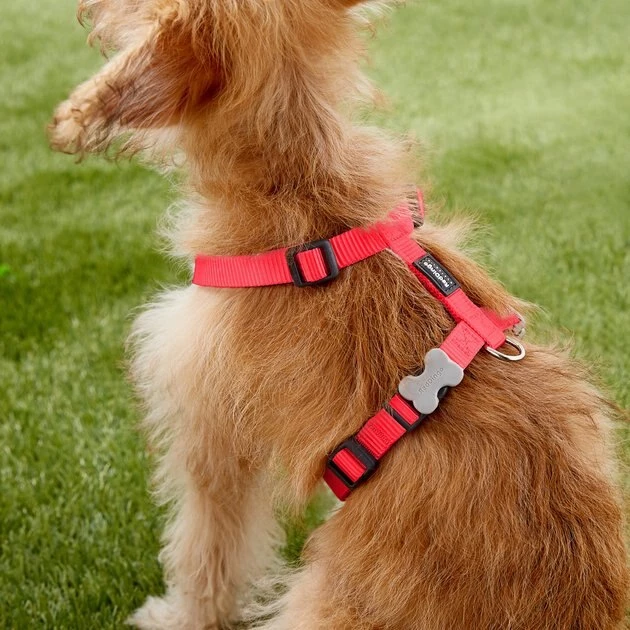 Red Dingo Classic Nylon Back Clip Dog Harness 7 Red Dingo Classic Nylon Back Clip Dog Harness - Image 5